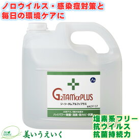 g2tam 除菌 消毒 抗菌液 消臭 G2TAMαPLUS（ジーツータムアルファプラス）お徳用 4リットル 業務用