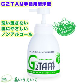 除菌 消臭 消毒 抗菌液 ハンドクリーナー 手洗い G2TAM手指用清浄液 泡タイプ 500ml
