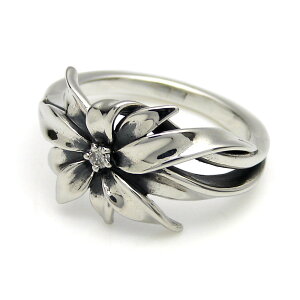 [] R O w fB[X Y Vo[  t@bV [^ SVbN  v[g nslXO KONRON ANZT[