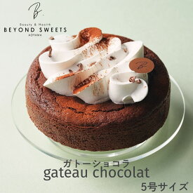 プラントベースケーキ ガトーショコラ ホール 冷凍配送 5号サイズ 1台