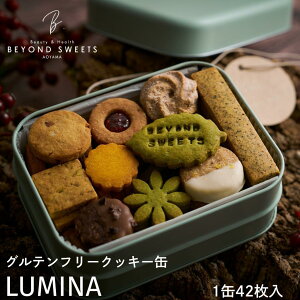 y퉷zzvgx[X@Oet[NbL[ LUMINA 1219`25