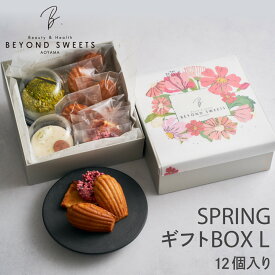 低糖質 SPRINGギフトBOX L［12個入］冷凍配送