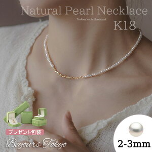 p[ lbNX 2-3mm xr[p[ Vv l i K18 18 `[J[ p[lbNX tH[} w ANZT[ fB[X GKg  Ǝ  񎟉 Ă