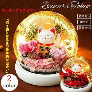 プリザーブドフラワー カーネーション ギフト 友だち 誕生日プレゼント 永遠の花 永生花 枯れない花 招き猫 バラ ドライフラワー ボックス付 LEDライト付 卒業式 母の日 成人式 成人 誕生日