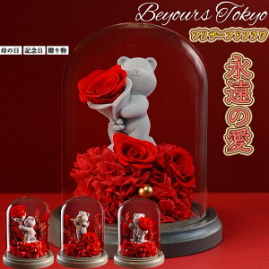 G^[it[ vU[uht[ LEDCgt pbg o a v[g o^C  ޏ  FB  a j j LO ʉ җj