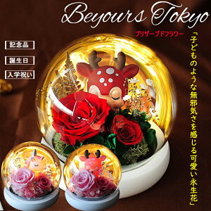 vU[uht[ Mtg P[X KXh[ a  v[g uU[uh  led vU[uht[ KXh[ LO j   e   