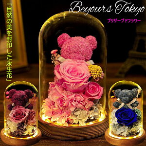 vU[uht[ KXh[ ̓ v[g ͂Ȃ  aMtg o [Y uU[uht[ Mtg TvCY v[g KN LEDCgt ỉ Mtg