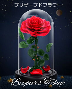 プリザーブドフラワー プロポーズ 花束 バラ 1本 ケース入り おしゃれ 可愛い そのまま 飾れる ブーケ 卒業式 誕生日 お祝い ウェディング 結婚式 結婚祝い 彼女 クリスマス ギフト プレゼン