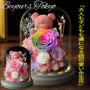 vU[uht[ zCgf[ vU[uht[ Mtg ʂ 킢   efBxA ԑ u[P  av[g F e FB Z  20 