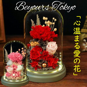 vU[uht[ J[l[V  a 40 50  v[g  v av[g  d jd  j\ aj   ybg ސEj ʏj