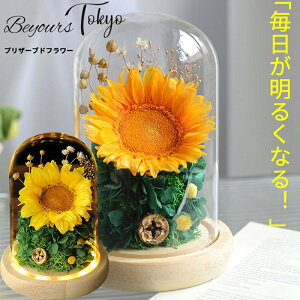 vU[uht[ q} KXh[ Ђ܂  Mtg  {gt[ KX a KX j   v[g җ Ď  j   