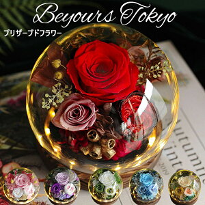 vU[uht[ v[g a   e   ސEj җj ̓   o ͂Ȃ  蕨 v|[Y a v[g ޏ Mtg  LO  a