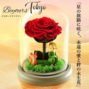 vU[uht[ ̉q a ԃMtg  ͂Ȃ v[g  o KXh[ 1{ o zCgf[ LO LO җ  j  ޏ  `