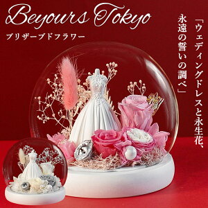 v|[Y vU[uht[ o KN [Y ͂Ȃ Nj  LO  a LO v[g Mtg 蕨 ޏ      j  