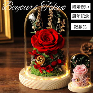 vU[uht[o ỉ ۑ o^Cf[ NX}X ̓ Ɩb̃o LO@@av[g 蕨 v[g Mtg KN ̓ ސEj
