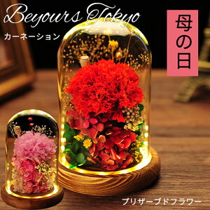 プリザーブドフラワー カーネーション ブリザードフラワ- 枯れない花 母の日 ホワイトデー お返し ギフト フラワーギフト 贈り物 プレゼント 誕生日 ブリザードフラワー ブリザード お祝い