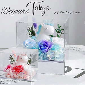  v[g L[ũvU[uht[ AWg AN{bNX ԑ v[g a hV̓ LO  oYj 蕨  ͂ Ȃ G[fCX J