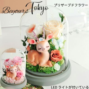 ̃vU[uht[ a zCgf[ Ԃ jd d   av[g j LO Os[ LO   e Fl ʉ ސEj v[