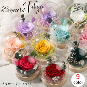 vU[uht[ v[g Mtg  t Xh[ KX ~j v`Mtg AW v[g  킢 a 蕨  ̓  LO  ސE C J