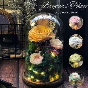 vU[uht[ KXh[ Iׂ邨F 킢  v[g Mtg a j LO Əj wj ސEj } ʉ j JXj oYj zj 