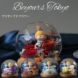 ̉ql vU[uht[  NX}X bZ[WJ[ht KXh[ av[g փv|[Y j JXj Vzj Mtg ޏzCgf[ 