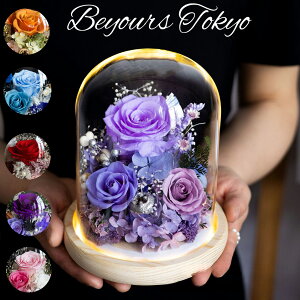 v`Mtg  Mtg a  vU[uht[ KXh[ a av[g  50 80 60   ̉ uU[ht[  j  ސE