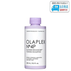 IvbNX No.4 P g[jOVv[ uhwA[p Vv[ 250ml LSC
