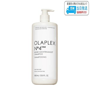 �I���v���b�N�X No.4 �t�@�C�� �{���h�����e�i���X �V�����v�[ 1000ml LSC