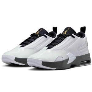 [�i�C�L] �W���[�_�� �}�b�N�X �I�[�� 6 JORDAN MAX AURA 6 �z���C�g/�u���b�N/���^���b�N�S�[���h FQ8298-101