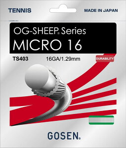 S[Z(Gosen) ejX dKbg MICRO