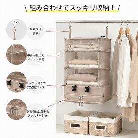 吊り下げ収納 クローゼット 収納棚 2段式 3段式 衣類ラック クローゼット 水洗い可能 防湿防カビ 取り付け簡単 下着 靴下 帽子 収納 インストール不要