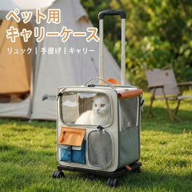 ペットキャリー 猫用ペットキャリーバッグ 犬猫兼用 キャリーケース 外出用 軽量 携帯便利 ポータブル 多機能 おしゃれ 小型犬・猫用