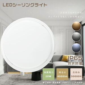LEDV[OCg IP65h hJ ^ 20W F6000K 4000lm 200W LED V[OCg V[OCg LED 6 8 LEDV[OCg 6 RpNg ی^ Ɩ ^ Vv  