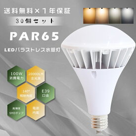 ≪お買い得≫30個セット PAR65 LEDバラストレス水銀灯 E39 LED電球 100W 20000LM 水銀灯1000W相当 LED バラストレス水銀灯 1000W相当 バラストレス E39口金 LED水銀ランプ LED水銀灯 LED高天井照明 高天井灯 防水 防雨 IP66 看板照明 看板 高天井用 工場 倉庫 屋内屋外兼用