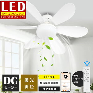 y2025VoEzt@tV[OCg LED LEDV[Ot@Cg T[L[^[  V@ Vt@Cg V@ T[L[^[tƖ k 