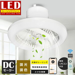 シーリングファンライト LED 調光調色 無段階風量調節 ファンライト LEDシーリングライト 12畳 10畳 8畳 6畳 リモコン付き 天井扇風機 扇風機 正逆回転 ライト 照明 シーリングファン おしゃれ D