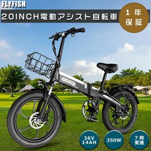FLYFISH dAVXg] 20C` s\ Ƌsv d܂肽ݎ] EBIKE t@bgoCN d NXoCN bmx ] ܂肽 20C` ܂ݎ] y 20C` JS