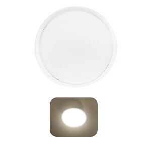 yh hzƖ LED oX[Cg 20w  LED|[` ی^ ip65 hEhJ^ LEDV[OCg 6  LED|[` ̌^ ی^ V䒼t^ ǒt^ 8 䏊 L  