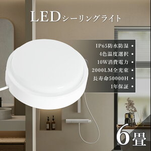y10Zbg!zV[OCg h LED  Ɩ ^ ی^ 邢 6 10W 2000lm `cLȂ h hJ V[OCg 4.5 ^ ֓ |[`Cg oX[Cg 