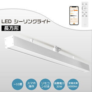 V X}[gCg LEDǔ^ ǌ^LEDV[OCg ` d30W 6000lm 10p 12p  F ^C}[@\tV[OCg _Ng[p |V[O
