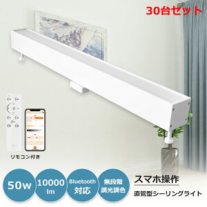 30 1Nۏ؁EPSEF LEDV[OCg ` ̌^ VƖ ǌu50W 10000lm F ]V䒼t Lb`Cg u 铔 VƖ  u R