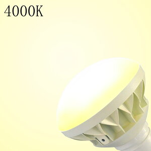 30Zbg LEDoXgXⓔ E39 ⓔ 500W d50W LED⃉vp LEDtv 100V LEDr[v XH ŔƖ r[d  ŔƖhLEDVƖ