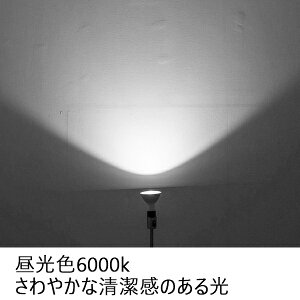 30Zbg LEDr[d e26 300W^ 25W5000lm̖邳 hLED _ECg Par38 h `LEDd Op ŔƖ VƖ LEDOp `d nCr[d r[v 