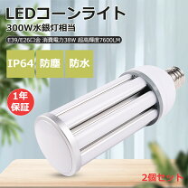 楽天市場】岩崎電気 水銀ランプ hf300xの通販