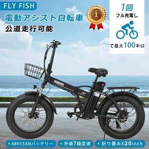 y^FρzFLYFISH 20C` dAVXgVeBTCN ^C4.0 t@bgoCN dAVXg] ] ܂肽 500w obe[ 48V15Ah 100kms\ dAVXg]  7