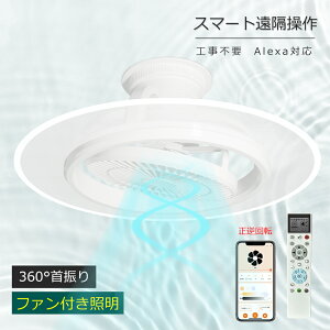 �V�[�����O�t�@�����C�g LED �t�@���t���Ɩ� 50W 150W���� 10000LM ������U�� �z��/�w������������h DC���[�^�[ ���K�i���F���� 15�K�i���ʒ��� Alexa/Google Home�Ή� ���u���� 2/4H�^�C�}�[�@�\ �ȃG