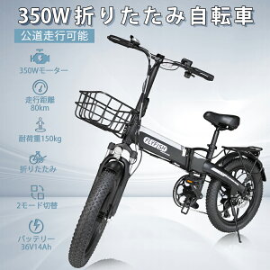 y98Ԕ[izFLY FISH dAVXg] ܂ݎ ܂肽ݎ 20C`  ^F }jA[h oXPbg ܂肽ݎ] 20C` ʋ ʊw e 36V14Ah 3iAVX