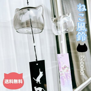 킢L black clear 2FWJ ˂^fUC KX 蕗 Ղ 񂾉  K^炷  Zt ˂D ˂ Op