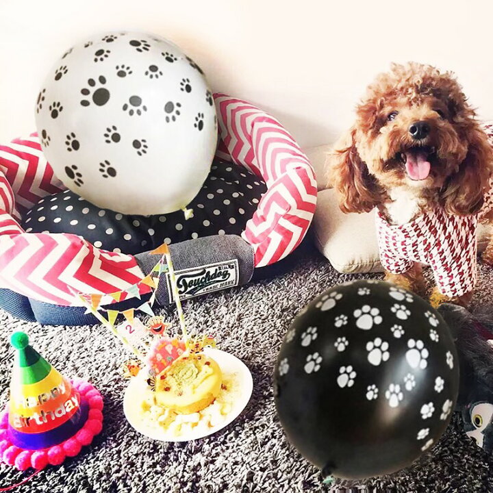送料無料 ペットのワンちゃんの誕生日バルーンセット 愛犬 Birthday 犬好き ワンコグッズ 記念日 Dog 誕生日パーティー 犬用 送料無料 ペットのワンちゃんの誕生日バルーンセット 愛犬 Birthday 犬好き ワンコグッズ 記念日 Dog 誕生日パーティー 犬用