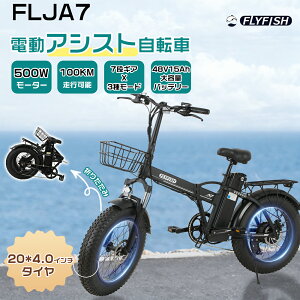 yViK̔XzFLYFISH FLJA7 ܂肽ݓdAVXg] 48V15Aheʃobe[ 500W[^[ 20×4.0ɑ^C ő呖s100km Ƌsv s\ V}m7iϑ Ot